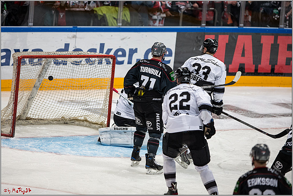 DEL, Koelner Haie - Nuernberg Ice Tiger, 24.01.2017